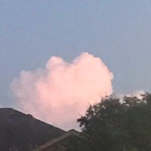 Meet your Posher, Savanna